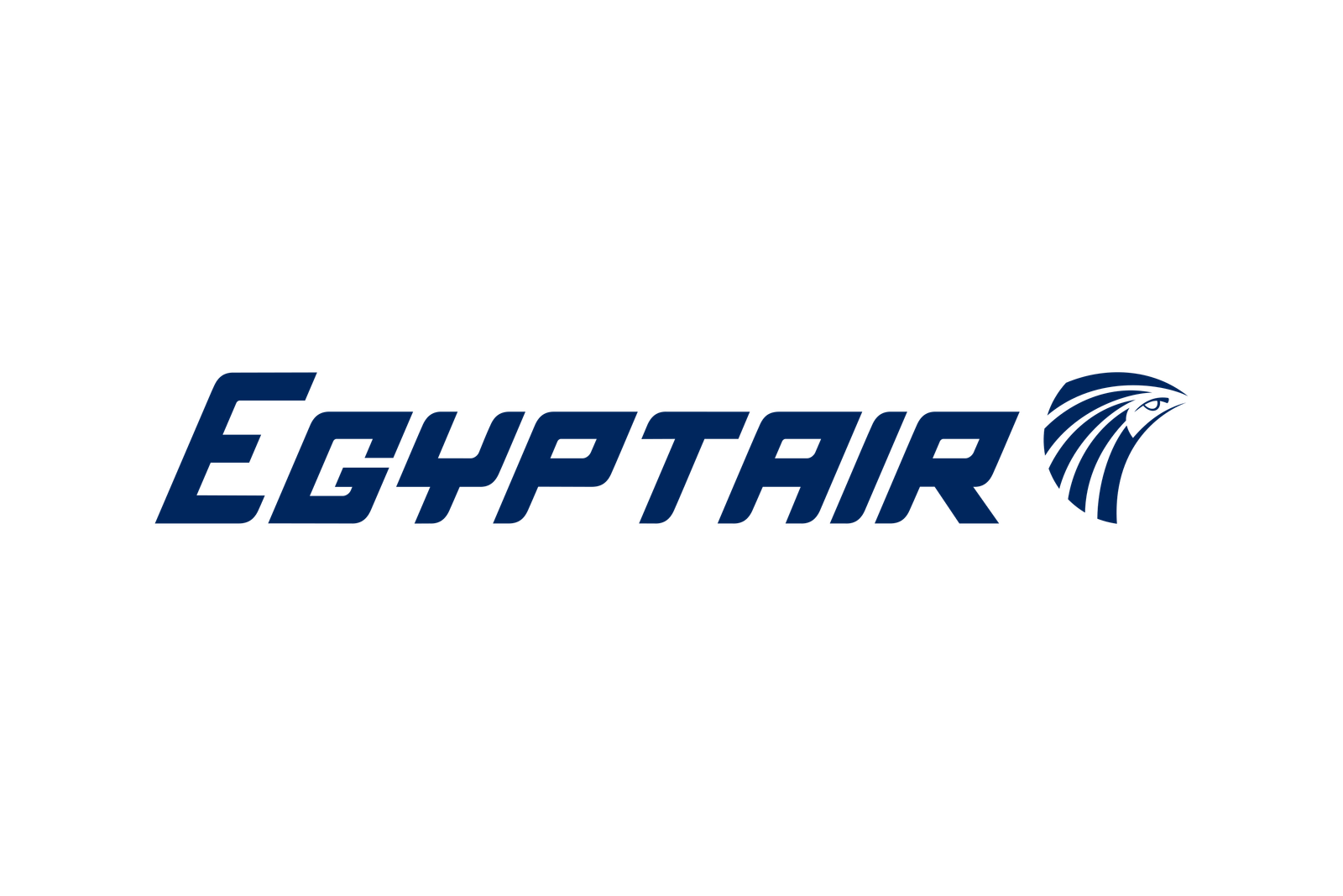 egypt air dummy ticket