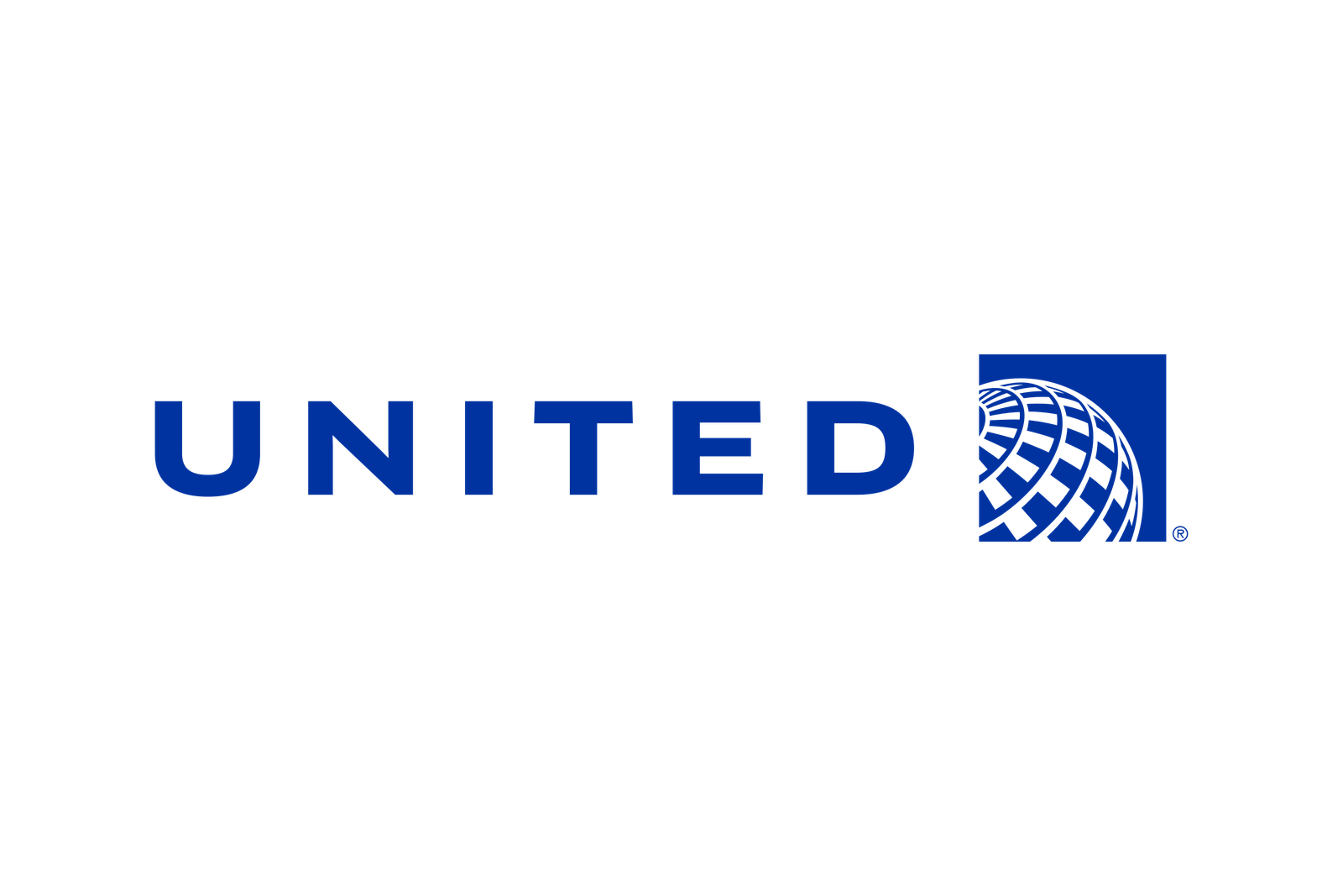 United airline dummy ticket