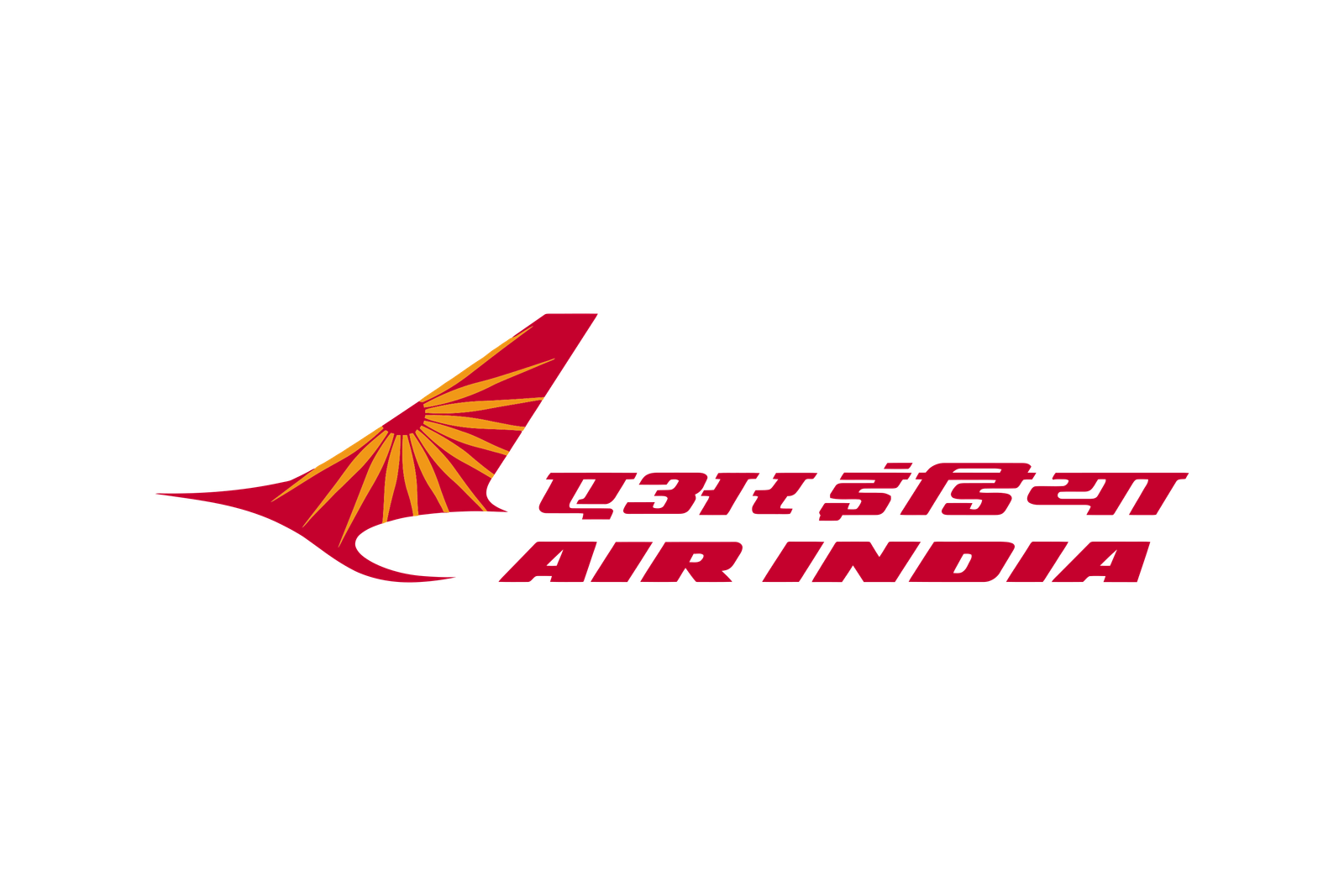 Air India Dummy Ticket